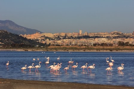 Cagliari