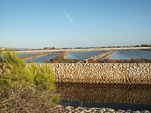 Cagliari, Saline Conti Vecchi